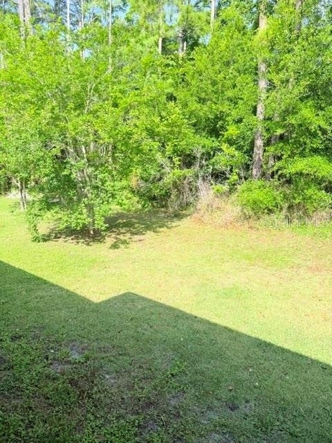 113 Brunswick Lane - Photo 21