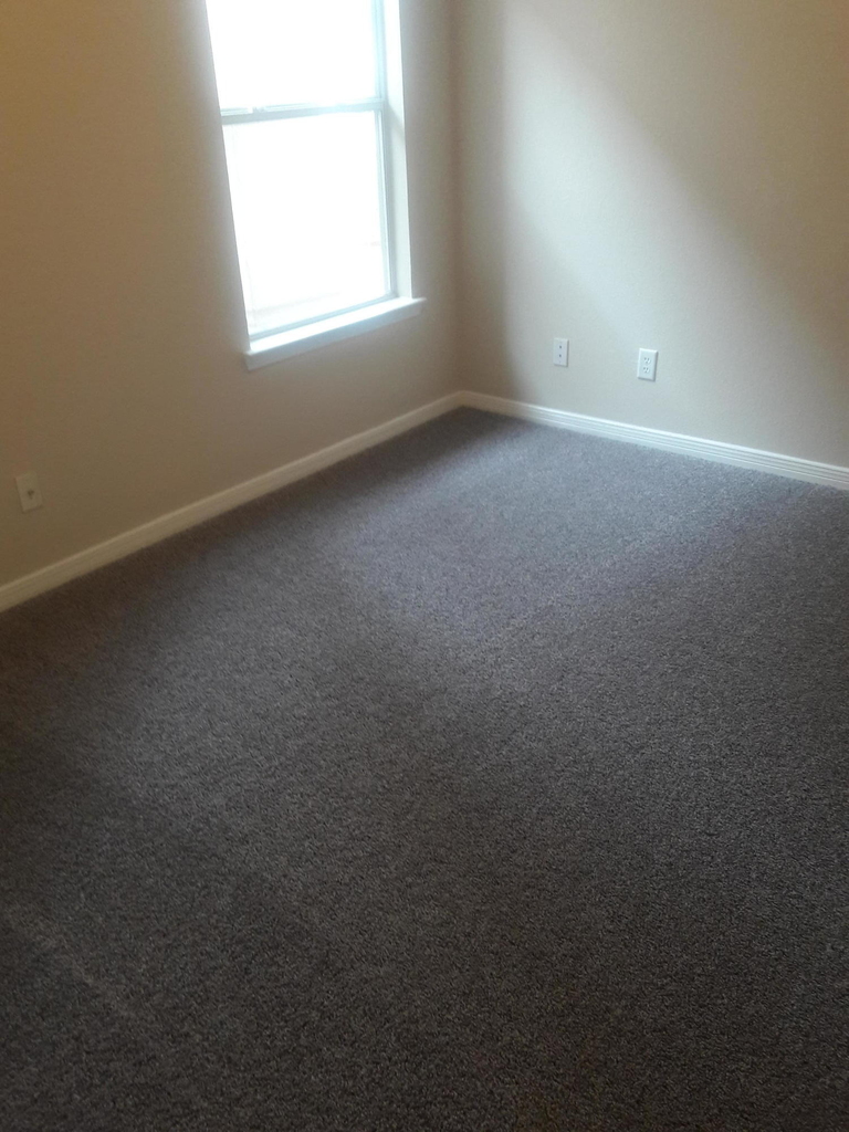 517 Belvidere Street - Photo 5