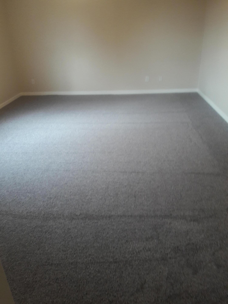 517 Belvidere Street - Photo 8