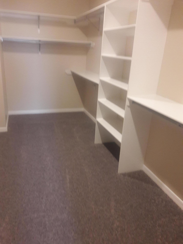 517 Belvidere Street - Photo 12