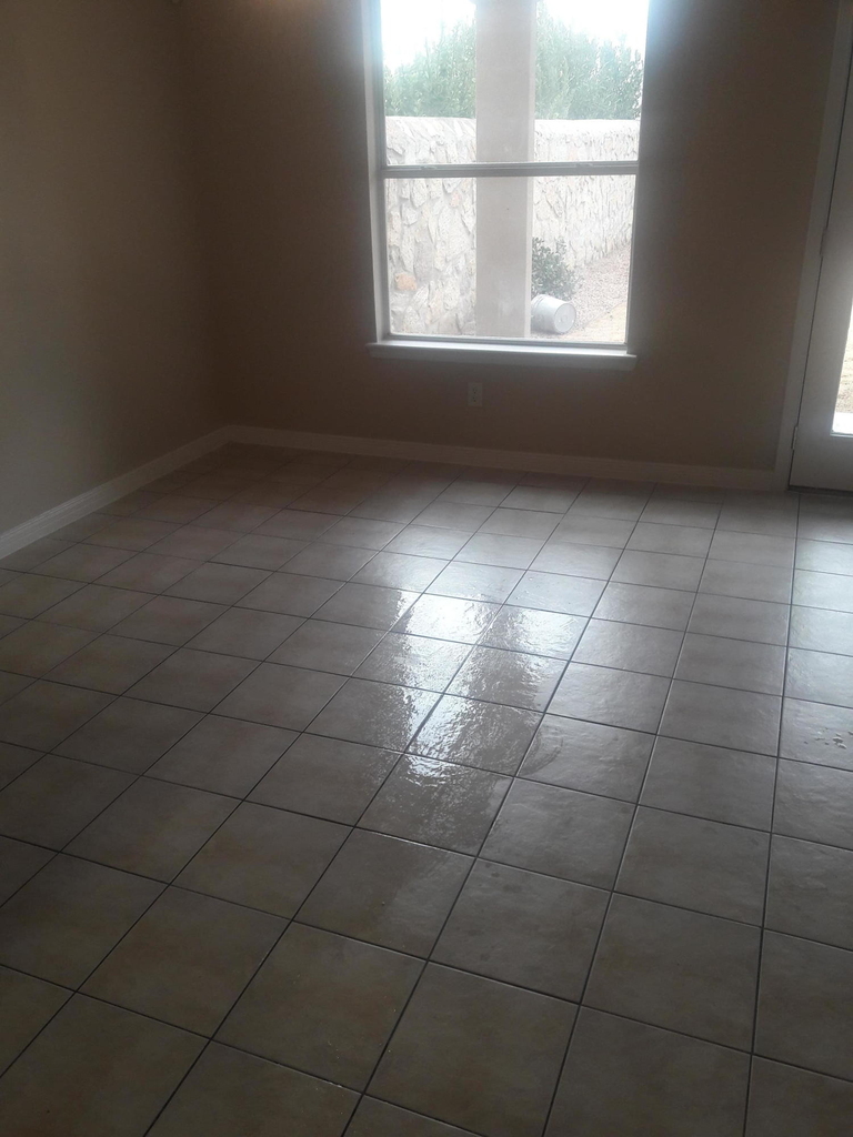 517 Belvidere Street - Photo 18