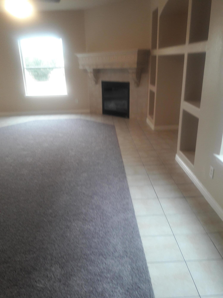 517 Belvidere Street - Photo 1