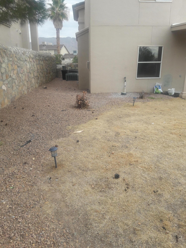 517 Belvidere Street - Photo 21