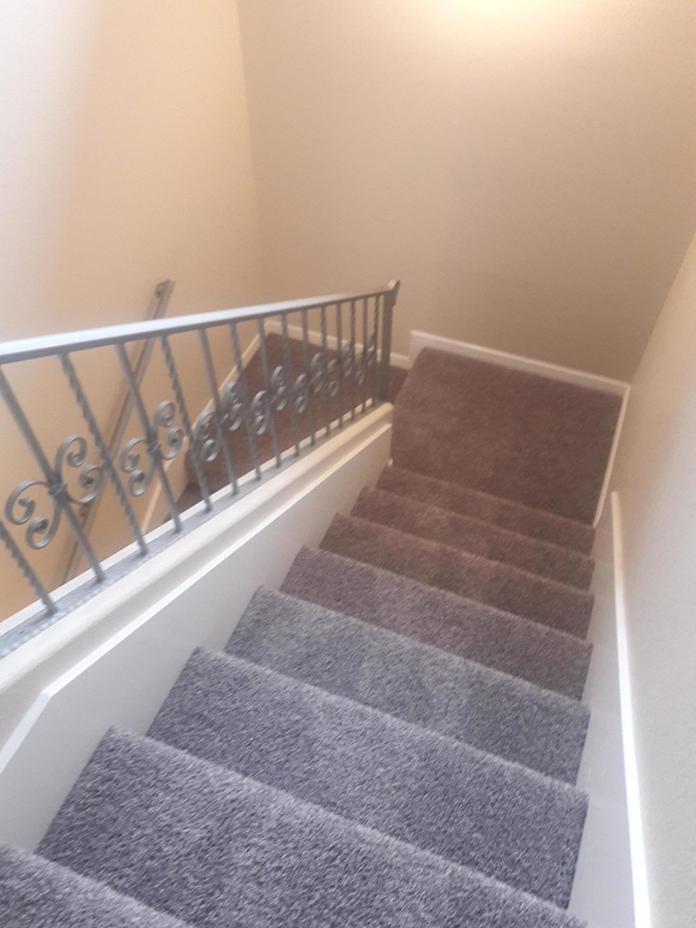 517 Belvidere Street - Photo 9
