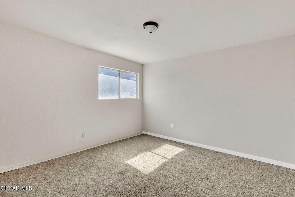8827 Mount Elbert Drive - Photo 7