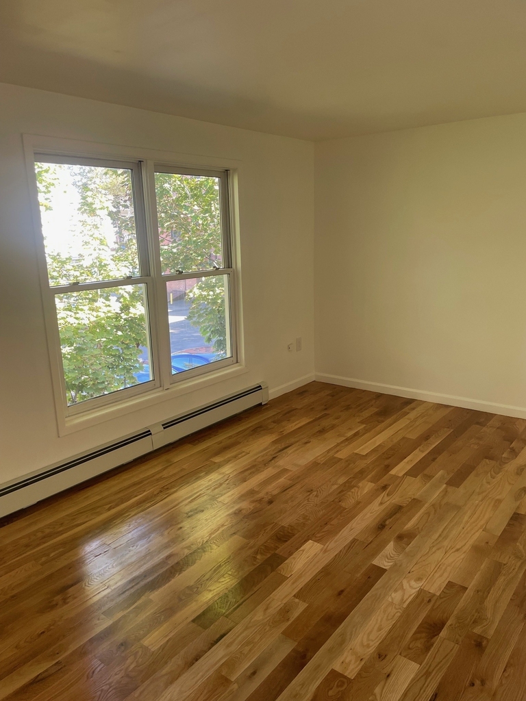 46 Orchard Street - Photo 4