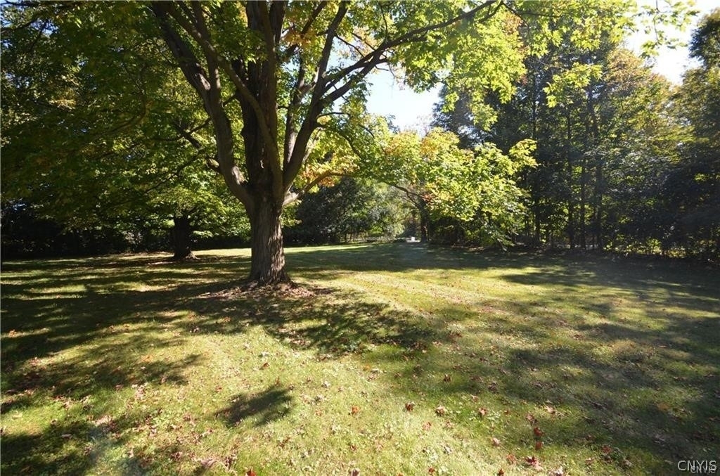 6891 Woodchuck Hill Road - Photo 13