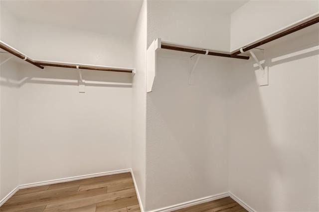 9236 Flowering Dogwood Lane - Photo 11