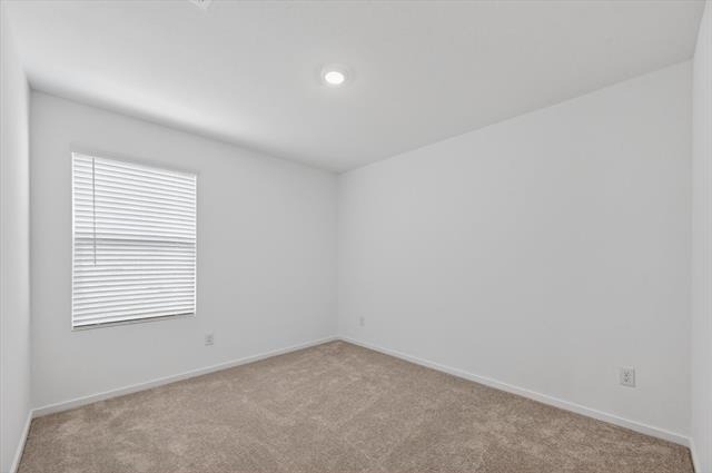 1316 Alfred Street - Photo 10