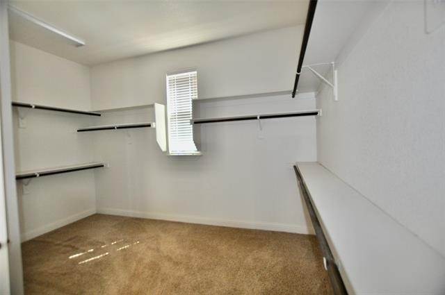 2529 Elk Hollow Lane - Photo 10