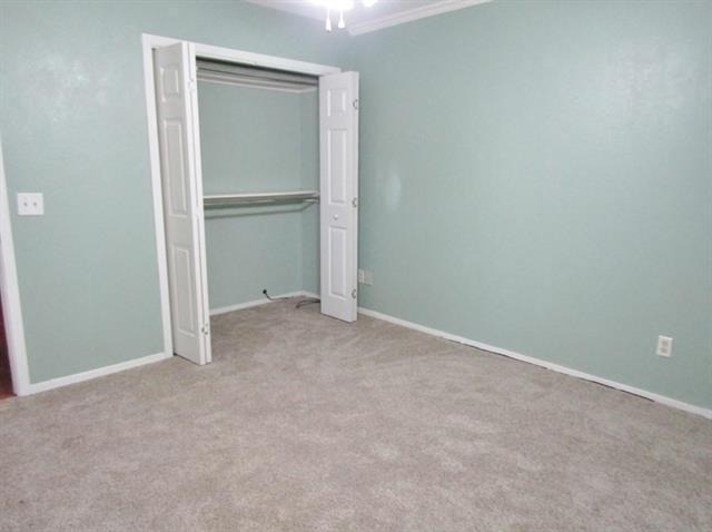 1117 Woodland Trail - Photo 9
