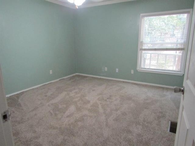 1117 Woodland Trail - Photo 8