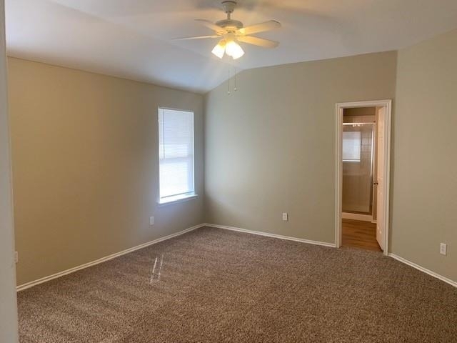 721 Bamboo Drive - Photo 12