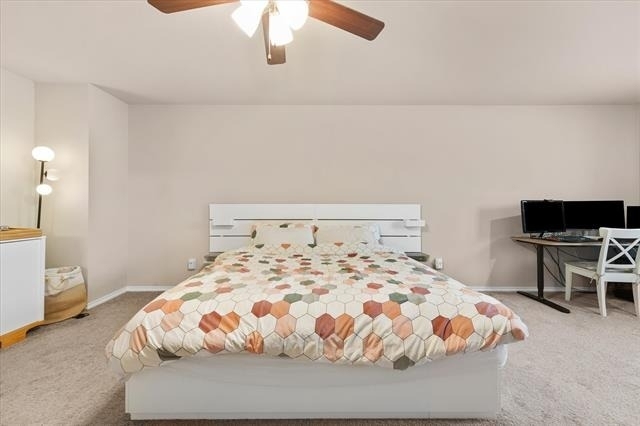 2756 Baneberry Lane - Photo 18
