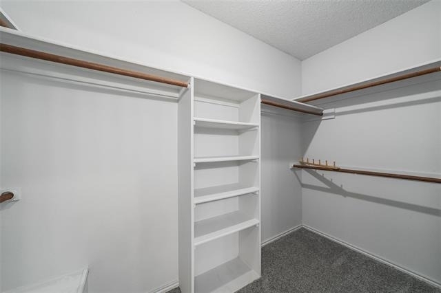 6310 Azalea Drive - Photo 9