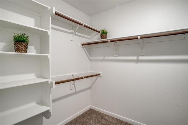 603 Smokey Trail - Photo 8