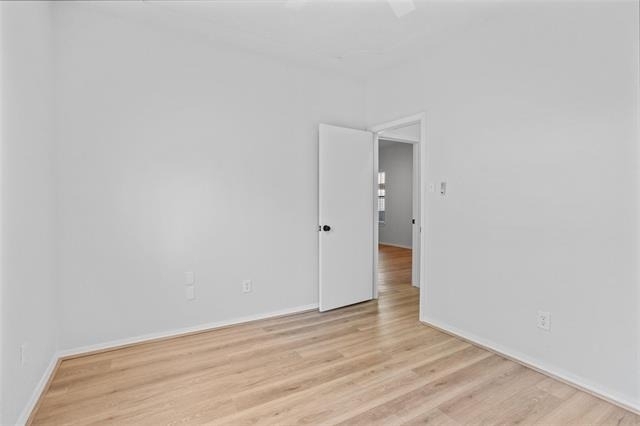 4313 Flamingo Way - Photo 18