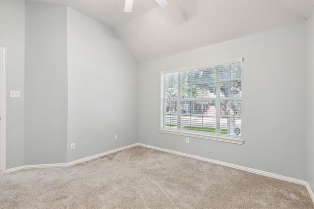 8447 Firewheel Lane - Photo 19