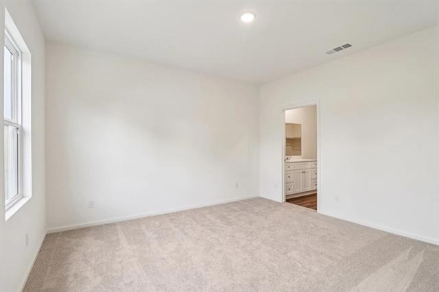 2117 Prairie Lane - Photo 10