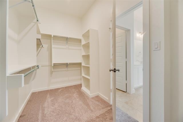 15543 Fringe Tree Road - Photo 12