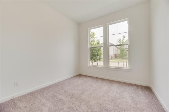 15543 Fringe Tree Road - Photo 13