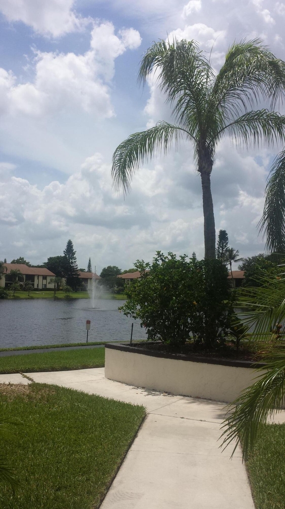 4850 Sable Pine Circle - Photo 29