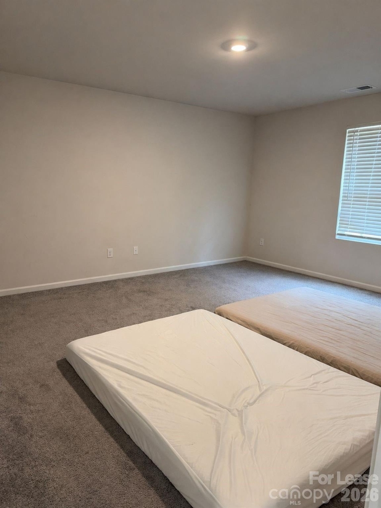 10227 Chatham Run Lane - Photo 13