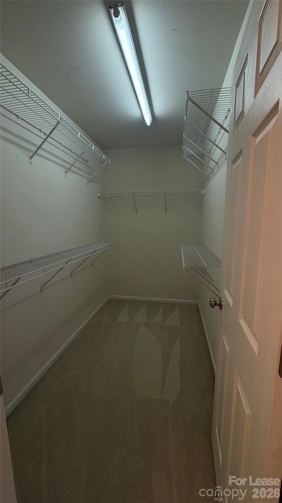5512 Werburgh Street - Photo 8