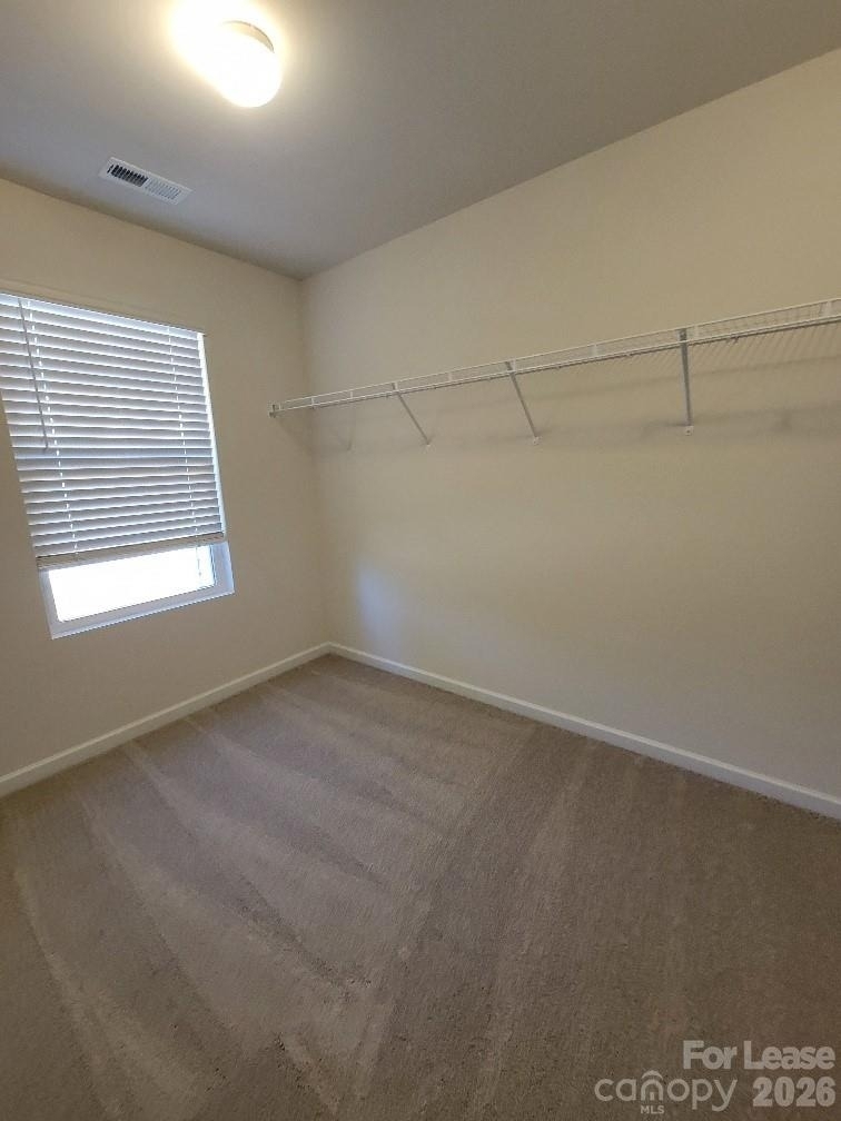6941 Calton Lane - Photo 15