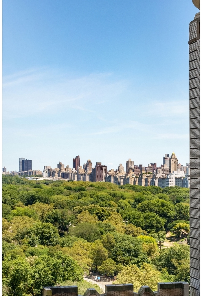 160  Central Park S - Photo 6
