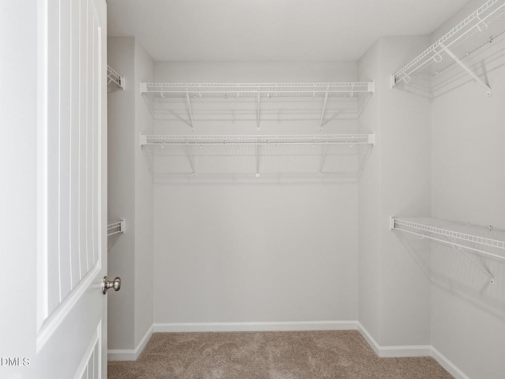 103 Frosted Iris Lane - Photo 15