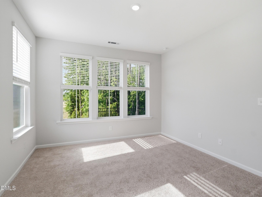 103 Frosted Iris Lane - Photo 18