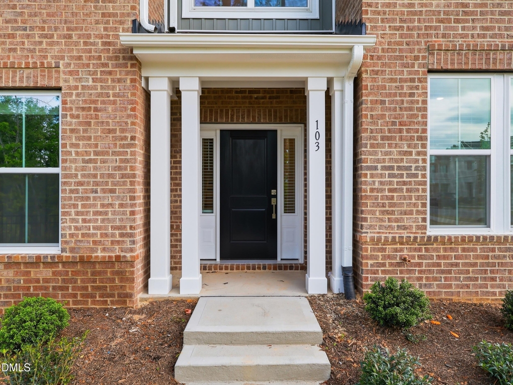 103 Frosted Iris Lane - Photo 1