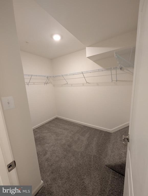 9926 Sir Barton Way Way - Photo 14