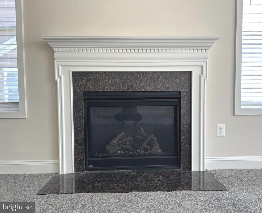 2634 Dragon Fly Way - Photo 11
