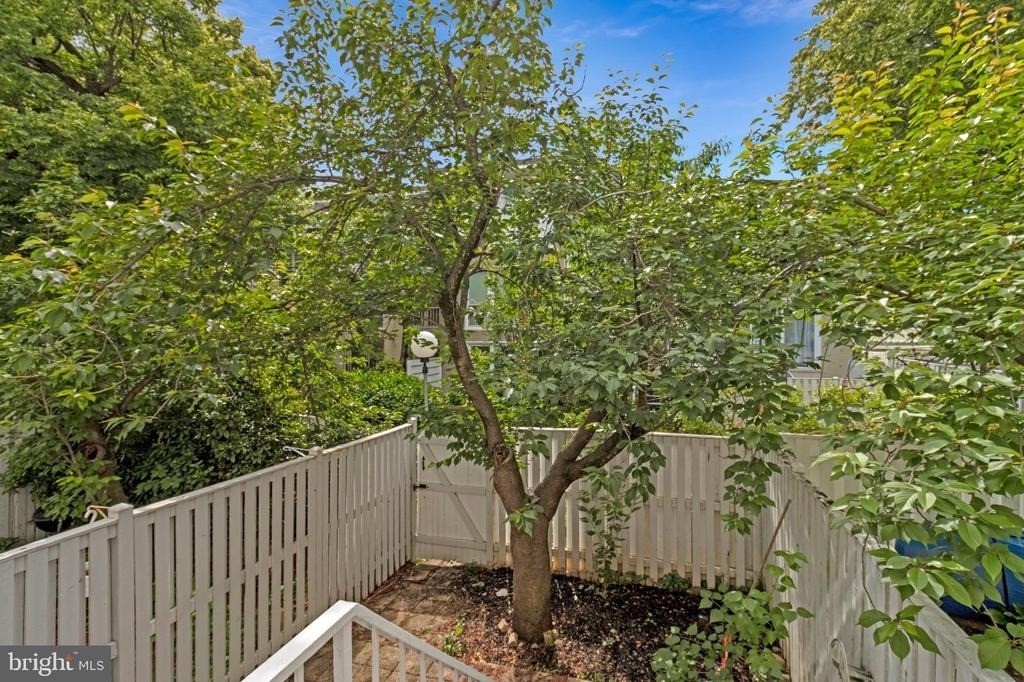 206 G Street Sw - Photo 15