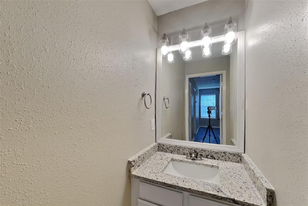 16411 Willingham Way - Photo 14