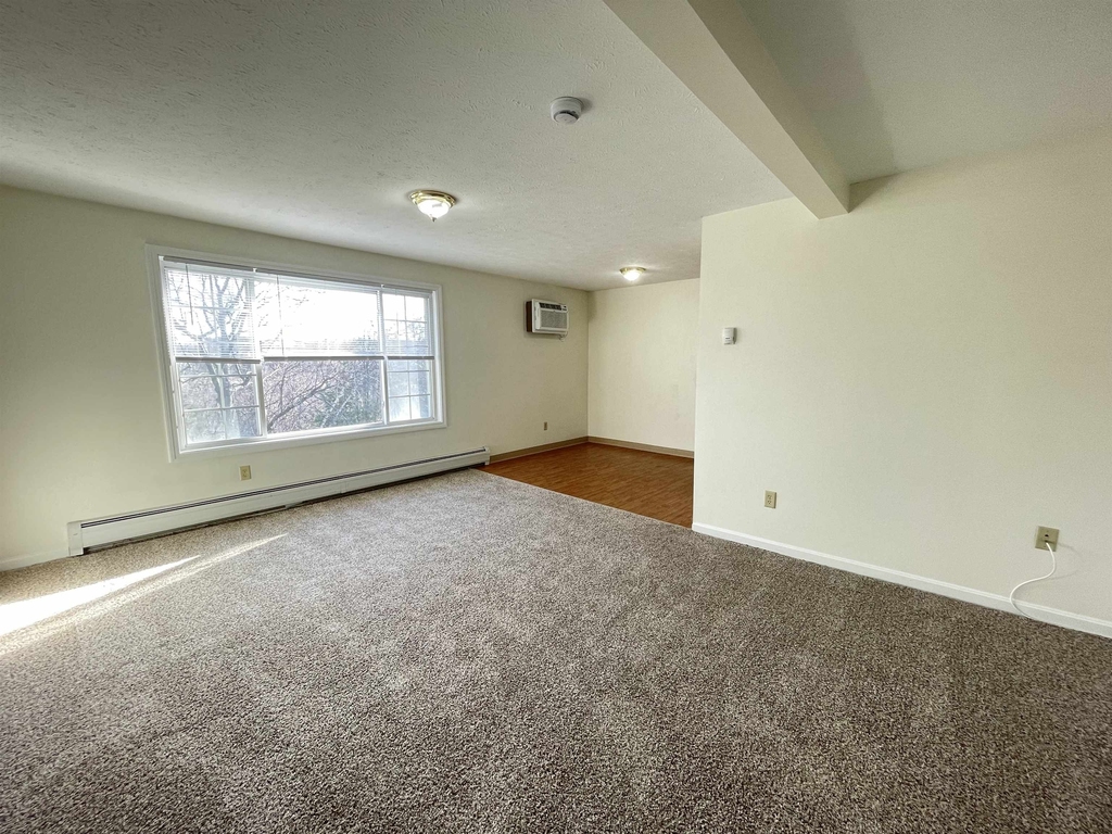 3951 Old Brown - Photo 21