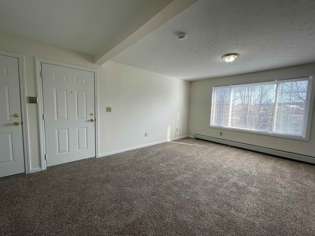 3951 Old Brown - Photo 18