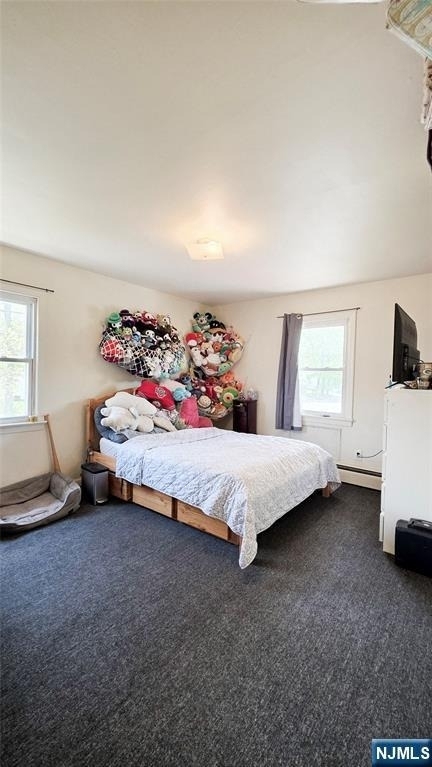 16 Belmont - Photo 11