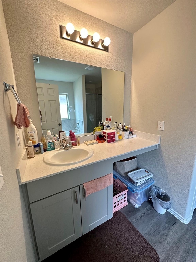 4231 Tulip Oak Drive - Photo 10
