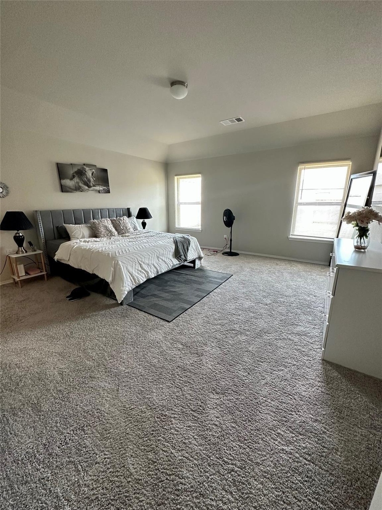 4231 Tulip Oak Drive - Photo 8