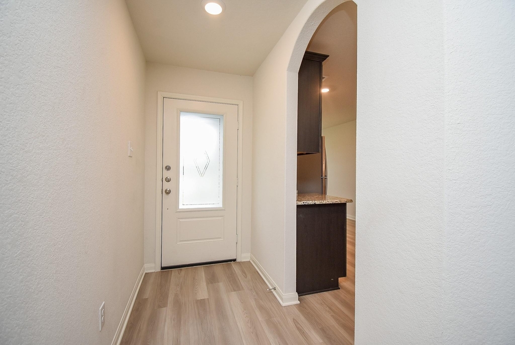 405 Texas Olive Drive - Photo 4