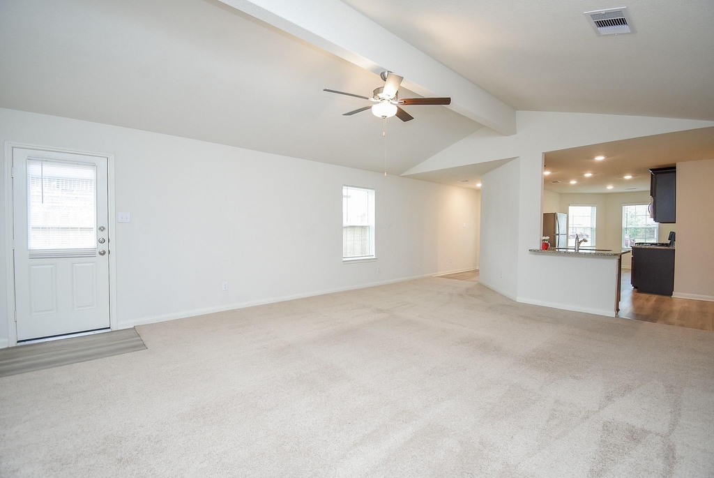 405 Texas Olive Drive - Photo 7