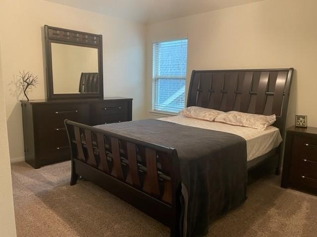 18014 Nisbet Crossing - Photo 13