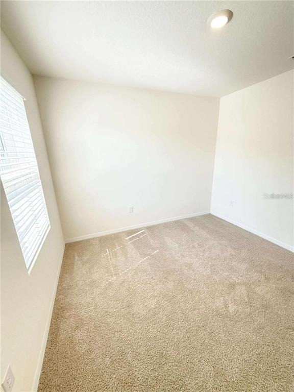 6877 Botanic Blvd Boulevard - Photo 10