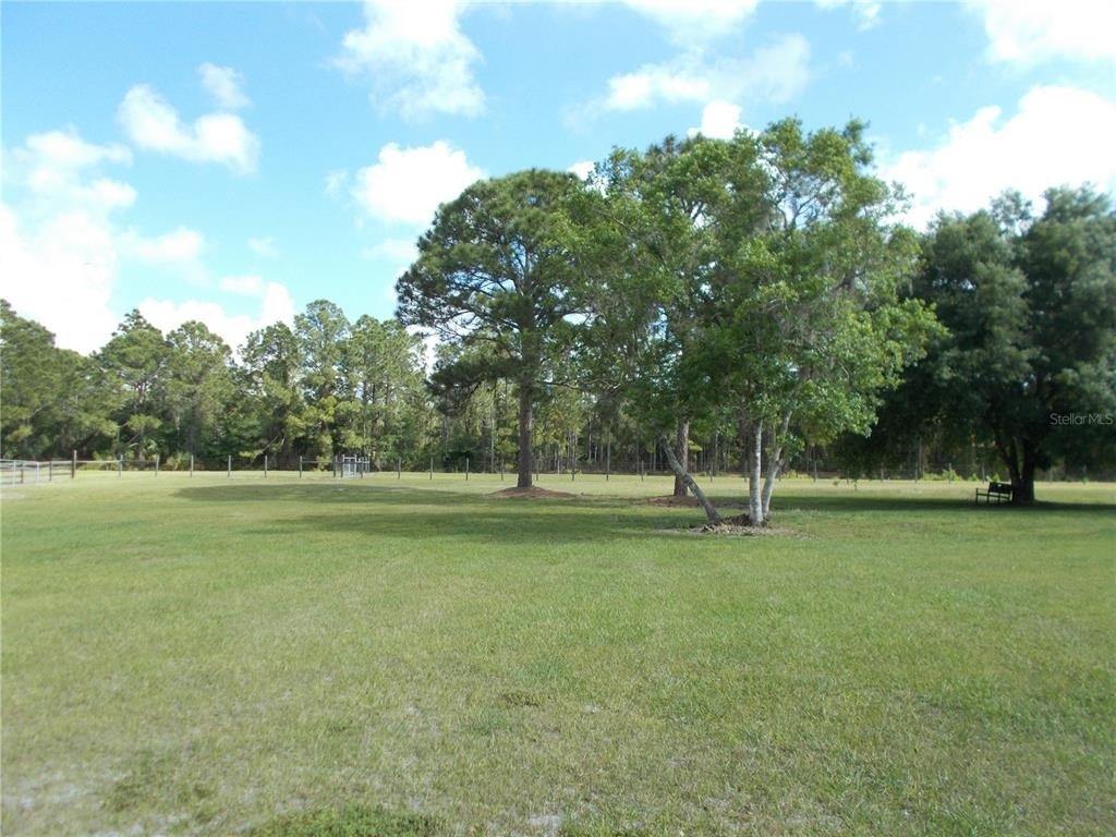 6960 Malton Street - Photo 2