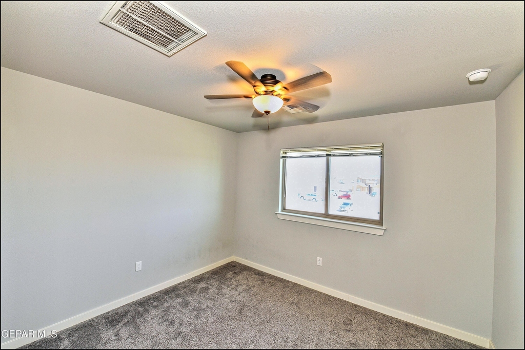 6952 Black Mesquite Drive - Photo 31