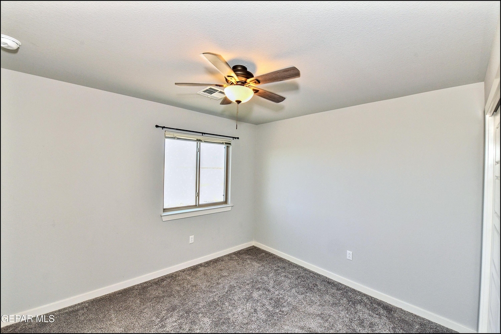 6952 Black Mesquite Drive - Photo 35
