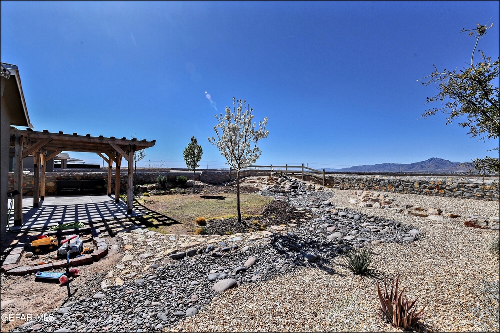 6952 Black Mesquite Drive - Photo 43